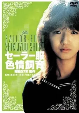 年代电影《返城列车》海报